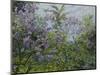 Blooming Lilac, about 1921-Max Slevogt-Mounted Giclee Print