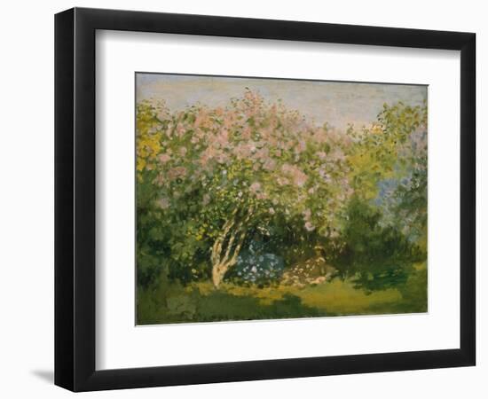 Blooming Lilac in Sunshine, 1873-Claude Monet-Framed Premium Giclee Print