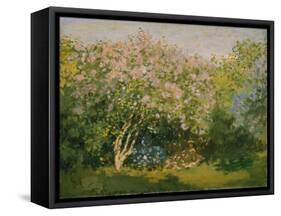 Blooming Lilac in Sunshine, 1873-Claude Monet-Framed Stretched Canvas