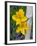 Blooming Lilies and Bamboo, Huerquehue National Park, Chile-Scott T. Smith-Framed Premium Photographic Print