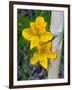 Blooming Lilies and Bamboo, Huerquehue National Park, Chile-Scott T. Smith-Framed Premium Photographic Print