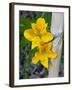 Blooming Lilies and Bamboo, Huerquehue National Park, Chile-Scott T. Smith-Framed Photographic Print