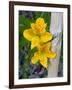 Blooming Lilies and Bamboo, Huerquehue National Park, Chile-Scott T. Smith-Framed Photographic Print