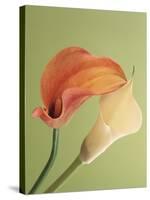 Blooming Lilies-null-Stretched Canvas