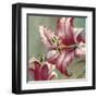 Blooming Lily-Brent Heighton-Framed Art Print