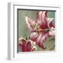 Blooming Lily-Brent Heighton-Framed Art Print