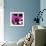 Blooming Magenta-Herb Dickinson-Framed Photographic Print displayed on a wall