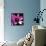 Blooming Magenta-Herb Dickinson-Framed Stretched Canvas displayed on a wall