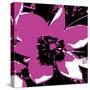 Blooming Magenta-Herb Dickinson-Stretched Canvas