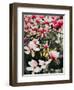 Blooming Magnolia, 2018,-Helen White-Framed Giclee Print