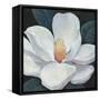 Blooming Magnolia I-Tim OToole-Framed Stretched Canvas