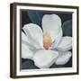 Blooming Magnolia I-Tim OToole-Framed Art Print