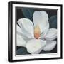 Blooming Magnolia I-Tim OToole-Framed Art Print