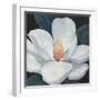 Blooming Magnolia I-Tim OToole-Framed Art Print