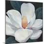 Blooming Magnolia I-Tim OToole-Mounted Art Print