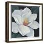 Blooming Magnolia II-Tim OToole-Framed Premium Giclee Print