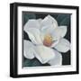 Blooming Magnolia II-Tim OToole-Framed Art Print