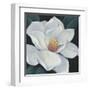 Blooming Magnolia II-Tim OToole-Framed Art Print