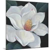 Blooming Magnolia II-Tim OToole-Mounted Art Print