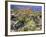 Blooming Ocotillo Cactus and Brittlebush Desert Wildflowers, Anza-Borrego Desert State Park-Christopher Talbot Frank-Framed Photographic Print