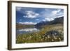Blooming of Cotton Grass on the Shores of Lago Bianco Not Far from the Gavia Pass-ClickAlps-Framed Photographic Print