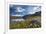 Blooming of Cotton Grass on the Shores of Lago Bianco Not Far from the Gavia Pass-ClickAlps-Framed Photographic Print