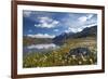 Blooming of Cotton Grass on the Shores of Lago Bianco Not Far from the Gavia Pass-ClickAlps-Framed Photographic Print