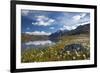 Blooming of Cotton Grass on the Shores of Lago Bianco Not Far from the Gavia Pass-ClickAlps-Framed Photographic Print