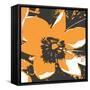 Blooming Orange-Herb Dickinson-Framed Stretched Canvas