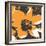 Blooming Orange-Herb Dickinson-Framed Photographic Print