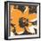 Blooming Orange-Herb Dickinson-Framed Photographic Print