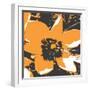 Blooming Orange-Herb Dickinson-Framed Photographic Print