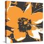 Blooming Orange-Herb Dickinson-Stretched Canvas