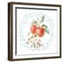 Blooming Orchard II-Danhui Nai-Framed Art Print