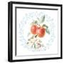 Blooming Orchard II-Danhui Nai-Framed Art Print