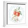 Blooming Orchard II-Danhui Nai-Framed Art Print