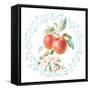 Blooming Orchard II-Danhui Nai-Framed Stretched Canvas