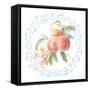 Blooming Orchard III-Danhui Nai-Framed Stretched Canvas