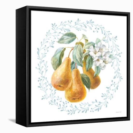 Blooming Orchard IV-Danhui Nai-Framed Stretched Canvas