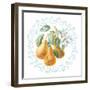 Blooming Orchard IV-Danhui Nai-Framed Art Print