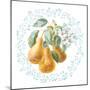 Blooming Orchard IV-Danhui Nai-Mounted Art Print