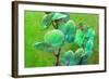 Blooming Orchids in Green Tones on Green Floral Ornament Backgound-Alaya Gadeh-Framed Photographic Print