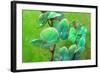 Blooming Orchids in Green Tones on Green Floral Ornament Backgound-Alaya Gadeh-Framed Photographic Print