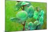 Blooming Orchids in Green Tones on Green Floral Ornament Backgound-Alaya Gadeh-Mounted Photographic Print