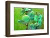 Blooming Orchids in Green Tones on Green Floral Ornament Backgound-Alaya Gadeh-Framed Photographic Print