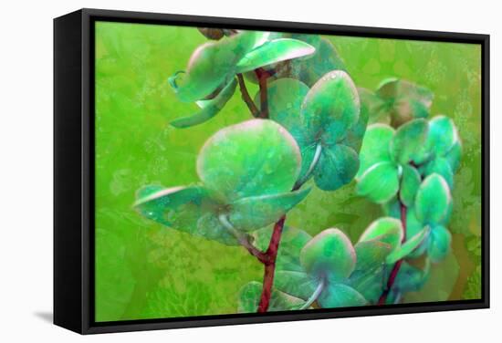 Blooming Orchids in Green Tones on Green Floral Ornament Backgound-Alaya Gadeh-Framed Stretched Canvas