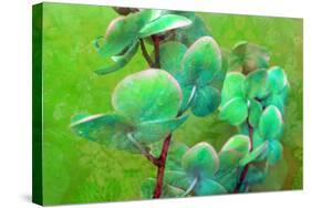 Blooming Orchids in Green Tones on Green Floral Ornament Backgound-Alaya Gadeh-Stretched Canvas