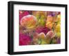 Blooming Orchids in Orange Tones Infront of Red Pink Floral Ornament Backgound-Alaya Gadeh-Framed Photographic Print