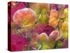 Blooming Orchids in Orange Tones Infront of Red Pink Floral Ornament Backgound-Alaya Gadeh-Stretched Canvas