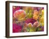 Blooming Orchids in Orange Tones Infront of Red Pink Floral Ornament Backgound-Alaya Gadeh-Framed Photographic Print